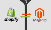 Magento vs. Shopify: Differences You Must Know