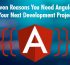 8 Proven Reasons You Need Angular for Your Ne