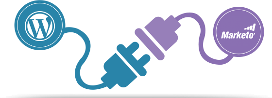wordpress-marketo