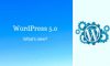WordPress 5.0 – What’s new?