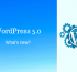 Wordpress 5.0 & Gutenberg