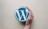 blog-posts blog-posts