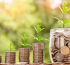 Prevent Duplicates and Boost Sales Productivi