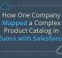 How One Company Mapped a Complex Product Cata