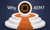 What Makes Adobe Experience Manager (AEM) the Preferred CMS Tool for Enterprise Users
