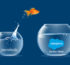 Swiftly Migrate from Zendesk to Salesforce Se