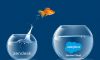 Swiftly Migrate from Zendesk to Salesforce Service Cloud – Story of a Unified Analytics Platform Provider