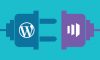 Why Integrate Your WordPress Website with Marketo? Here’s the Reason!