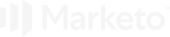 icon1