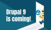 blog-posts
