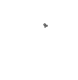 Saas